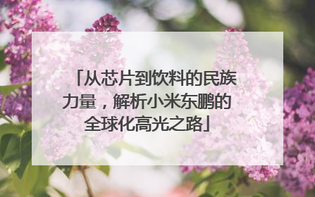 从芯片到饮料的民族力量，解析小米东鹏的全球化高光之路
