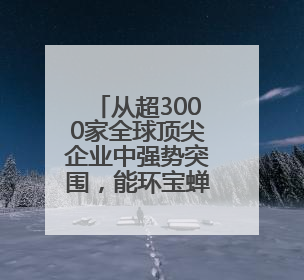 从超3000家全球顶尖企业中强势突围，能环宝蝉联SNEC金奖