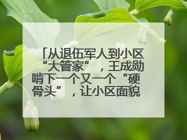 从退伍军人到小区“大管家”，王成勋啃下一个又一个“硬骨头”，让小区面貌焕然一新