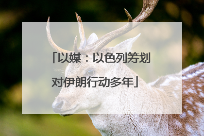 以媒：以色列筹划对伊朗行动多年