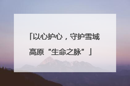以心护心，守护雪域高原“生命之脉”