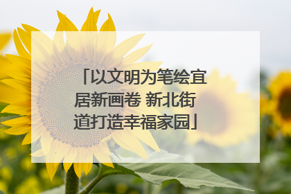 以文明为笔绘宜居新画卷 新北街道打造幸福家园