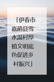 伊春市嘉荫县雪水温村厚植文明底色促进乡村振兴