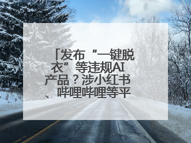 发布“一键脱衣”等违规AI产品？涉小红书、哔哩哔哩等平台！上海出手
