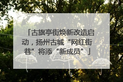 古旗亭街焕新改造启动，扬州古城“网红街巷”将添“新成员”