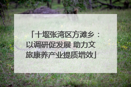 十堰张湾区方滩乡：以调研促发展 助力文旅康养产业提质增效