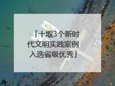 十堰3个新时代文明实践案例入选省级优秀