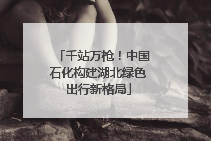 千站万枪！中国石化构建湖北绿色出行新格局