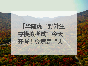 华南虎“野外生存模拟考试”今天开考！究竟是“大猫” 还是顶级猎食者？