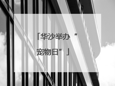 华沙举办“宠物日”
