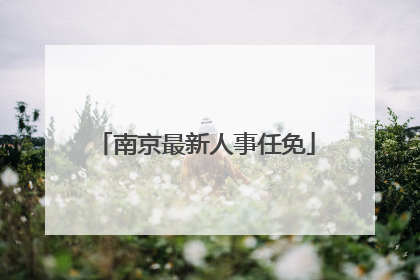 南京最新人事任免