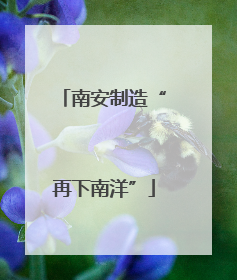 南安制造“再下南洋”