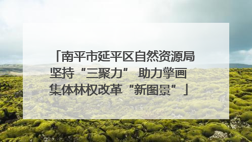南平市延平区自然资源局坚持“三聚力” 助力擎画集体林权改革“新图景”