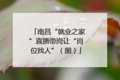 南昌“就业之家”直播带岗让“岗位找人”（图）