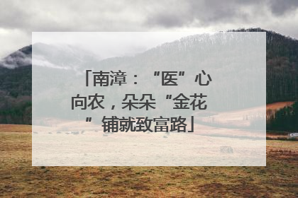 南漳：“医”心向农，朵朵“金花”铺就致富路