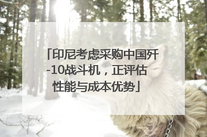 印尼考虑采购中国歼-10战斗机，正评估性能与成本优势
