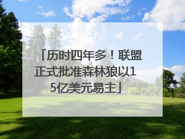 历时四年多！联盟正式批准森林狼以15亿美元易主