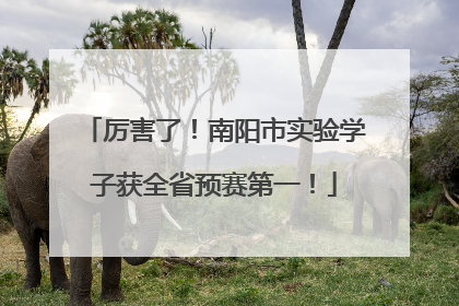 厉害了！南阳市实验学子获全省预赛第一！