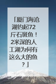 厦门海沧湖钓起72斤石斑鱼！2米深的人工湖为何有这么大的鱼？