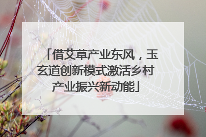 借艾草产业东风，玉玄道创新模式激活乡村产业振兴新动能