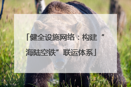 健全设施网络：构建“海陆空铁”联运体系