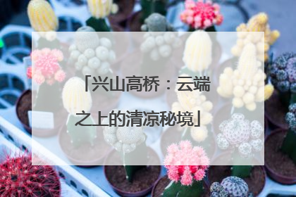 兴山高桥：云端之上的清凉秘境
