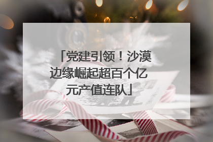 党建引领！沙漠边缘崛起超百个亿元产值连队
