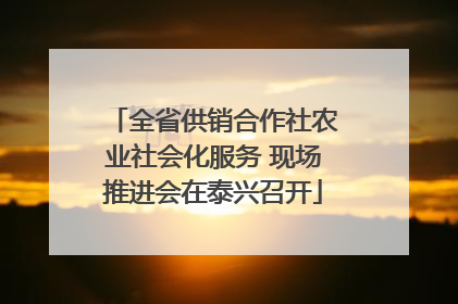 全省供销合作社农业社会化服务 现场推进会在泰兴召开