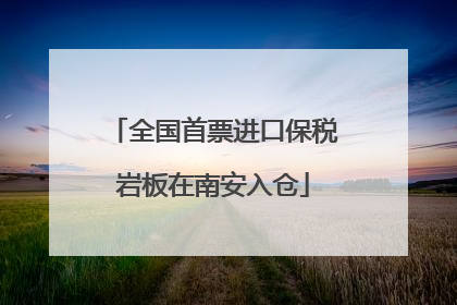 全国首票进口保税岩板在南安入仓