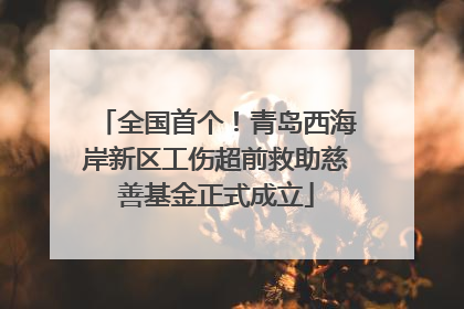 全国首个！青岛西海岸新区工伤超前救助慈善基金正式成立