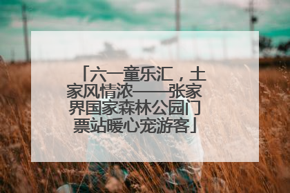 六一童乐汇，土家风情浓——张家界国家森林公园门票站暖心宠游客