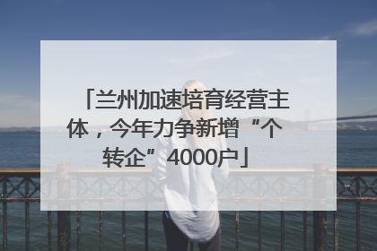 兰州加速培育经营主体，今年力争新增“个转企”4000户