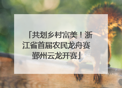 共划乡村富美！浙江省首届农民龙舟赛鄞州云龙开赛