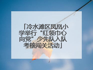 冷水滩区凤凰小学举行“红领巾心向党”少先队入队考核闯关活动