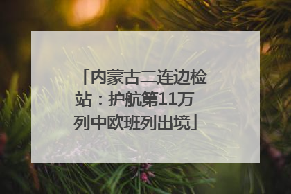 内蒙古二连边检站：护航第11万列中欧班列出境