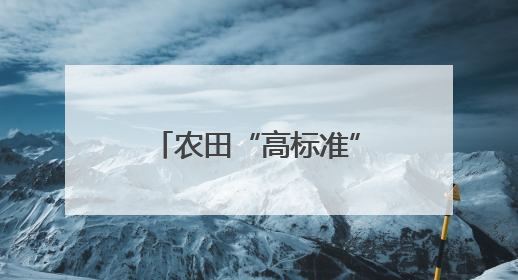 农田“高标准” 粮仓根基稳