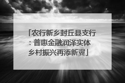 农行新乡封丘县支行：普惠金融润泽实体 乡村振兴再添新翼