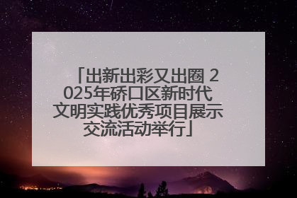 出新出彩又出圈 2025年硚口区新时代文明实践优秀项目展示交流活动举行