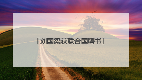刘国梁获联合国聘书