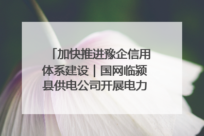 加快推进豫企信用体系建设｜国网临颍县供电公司开展电力行业信用企业现场咨询访谈工作