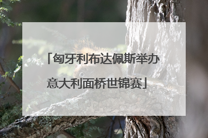匈牙利布达佩斯举办意大利面桥世锦赛