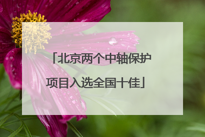 北京两个中轴保护项目入选全国十佳