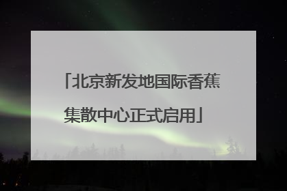 北京新发地国际香蕉集散中心正式启用