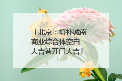 北京：填补城南商业综合体空白 大吉巷开门大吉