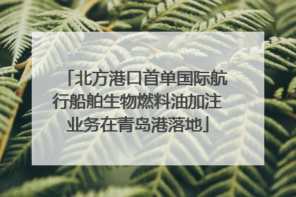 北方港口首单国际航行船舶生物燃料油加注业务在青岛港落地