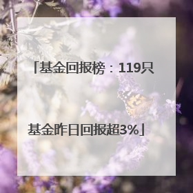 基金回报榜：119只基金昨日回报超3%