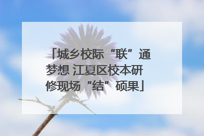 城乡校际“联”通梦想 江夏区校本研修现场“结”硕果
