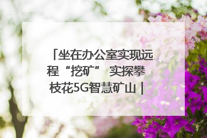 坐在办公室实现远程“挖矿” 实探攀枝花5G智慧矿山｜网络名人四川行