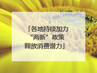 各地持续加力“两新”政策 释放消费潜力