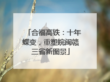 合福高铁：十年蝶变，重塑皖闽赣三省新图景